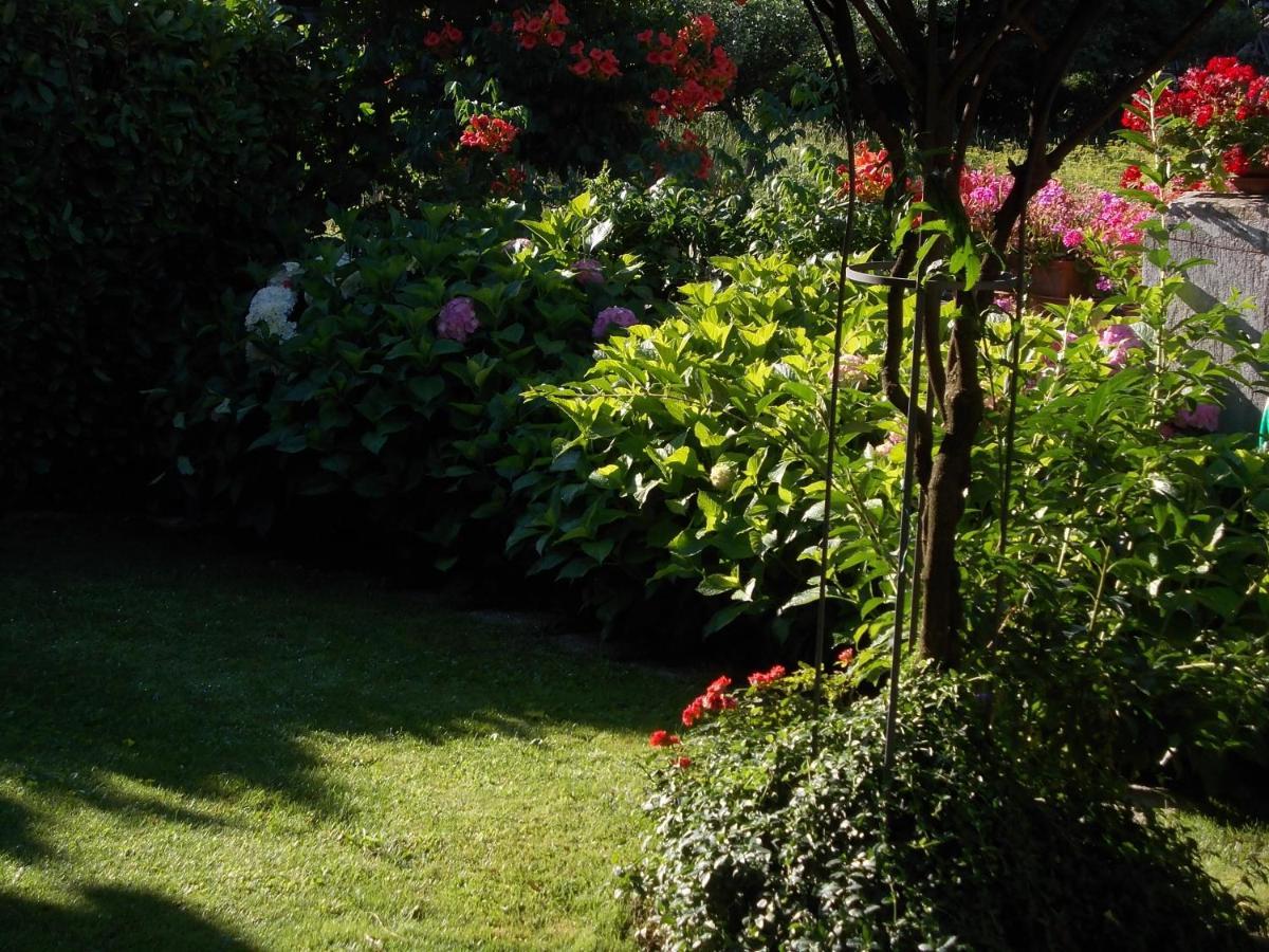 Les Hirondelles Bed & Breakfast Fenis Exterior photo